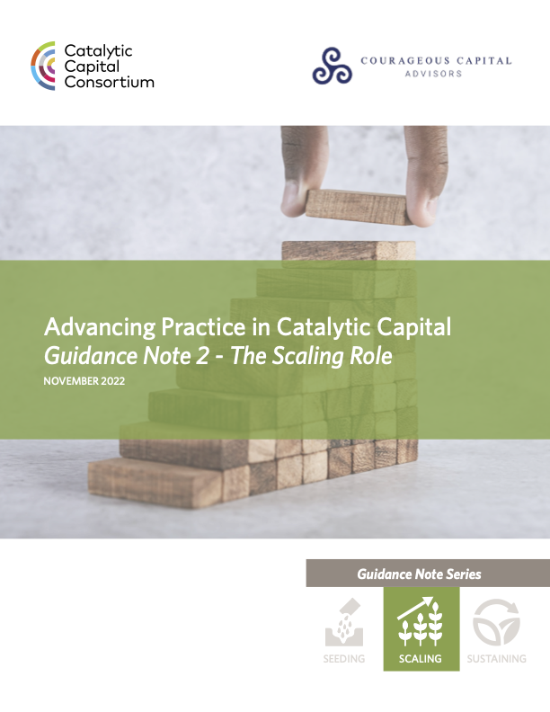 Advancing Practice in Catalytic Capital Guidance Note 2 - The Scaling Role