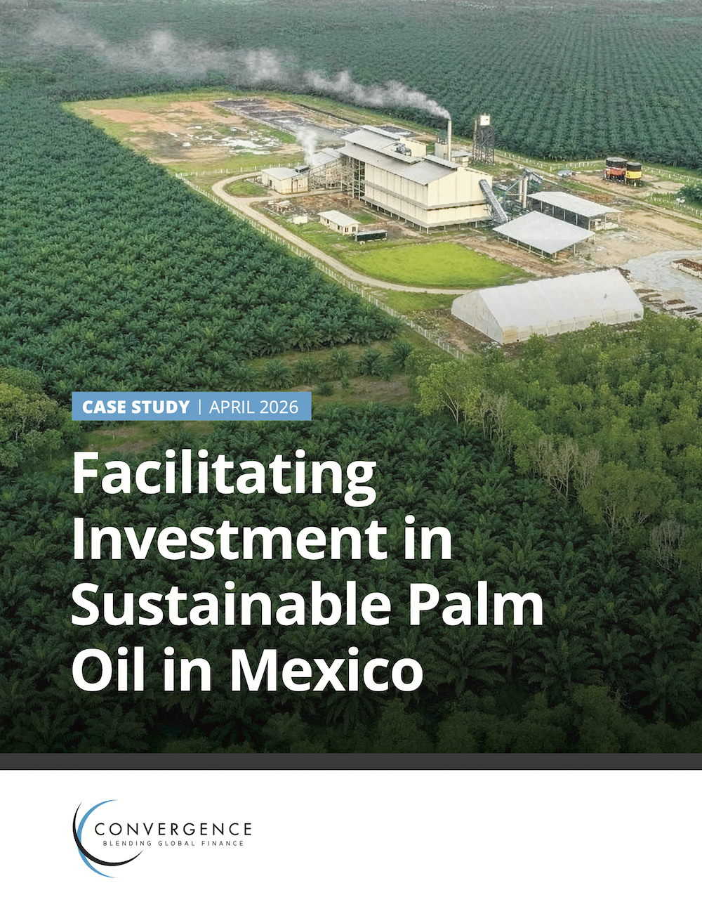Facilitating Investment in Sustainable Palm Oil in Mexico