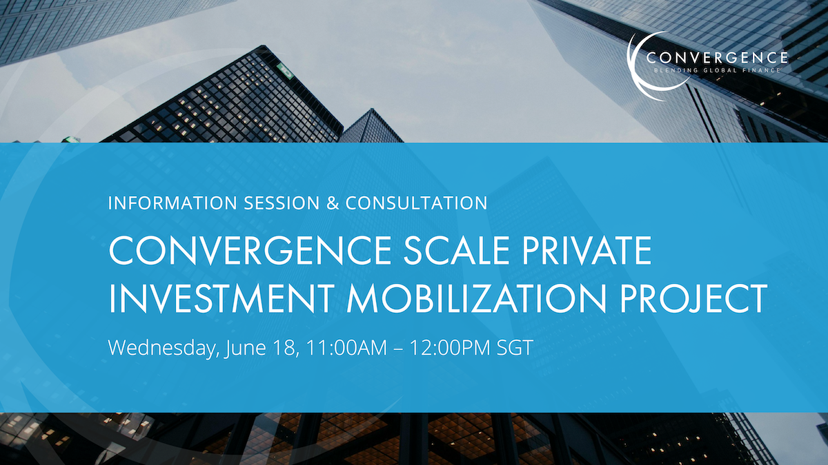 Information Session and Consultation on Convergence Scale Private Investment Mobilization Project (Asia)