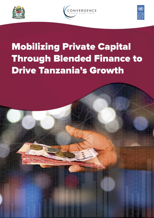 Mobilizing Private Capital Through Blended Finance to Drive Tanzania's Growth
