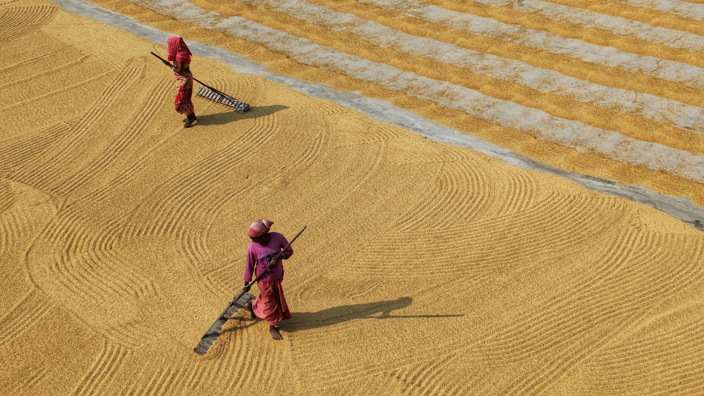 Transforming Climate Adaptation Challenges into Gender Opportunities through Blended Finance