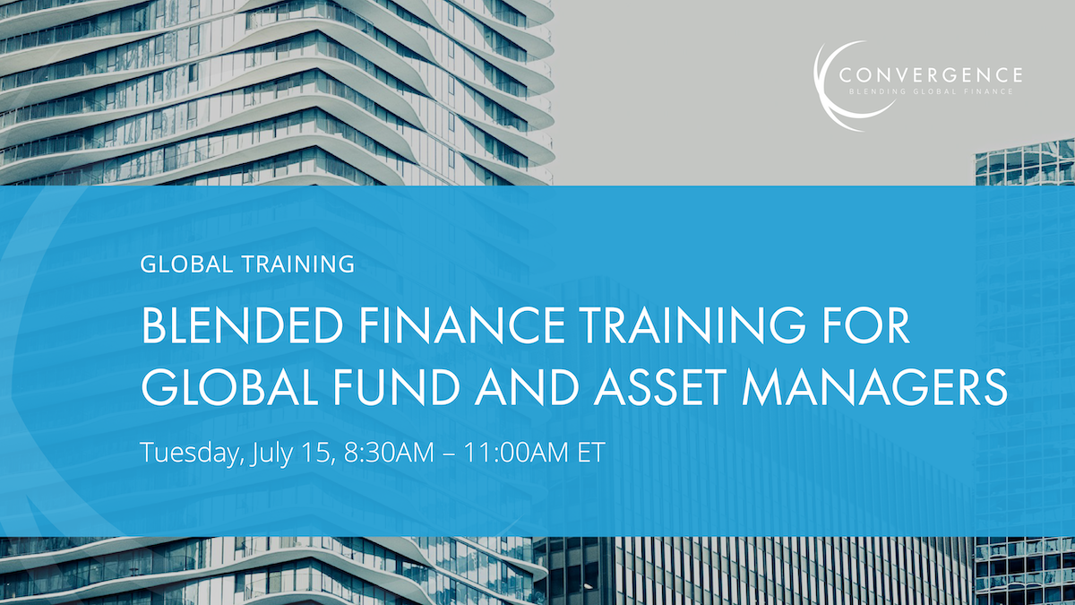 Blended Finance Training for Global Fund and Asset Managers (Virtual)