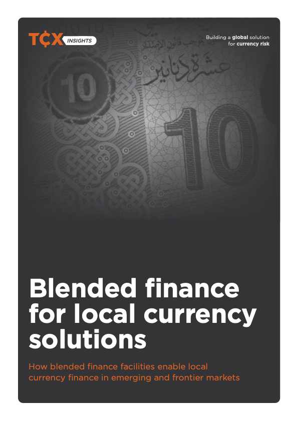 Blended finance for local currency solutions
