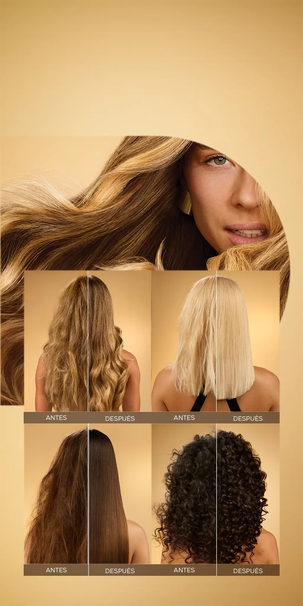 Imagen con modelos que tienen diferente tipo de cabello