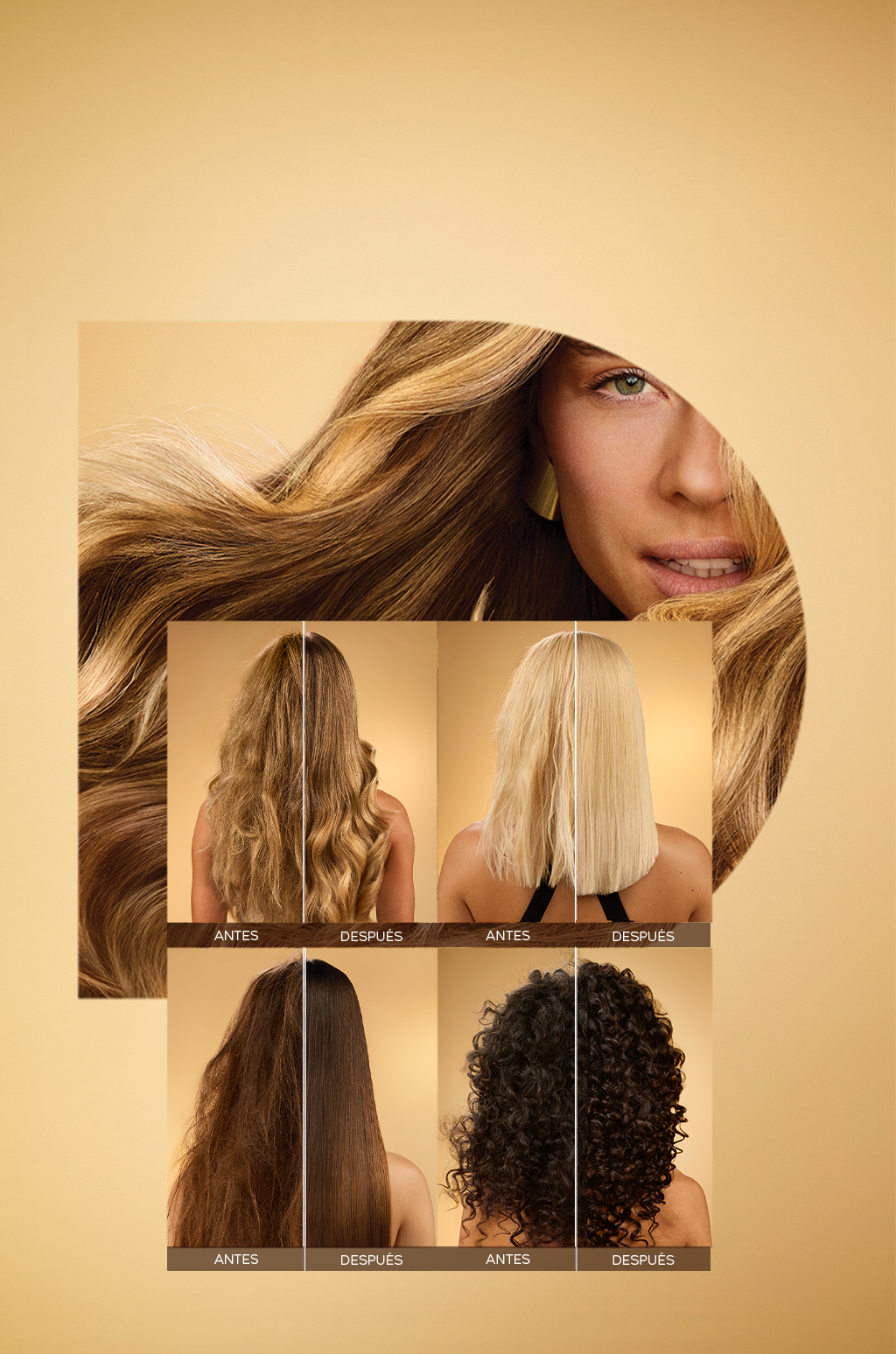 Mujeres con cabello liso, ondulado, rubio y rizado, con texto que indica el antes y el después de aplicarse el producto Molecular Bond Repair