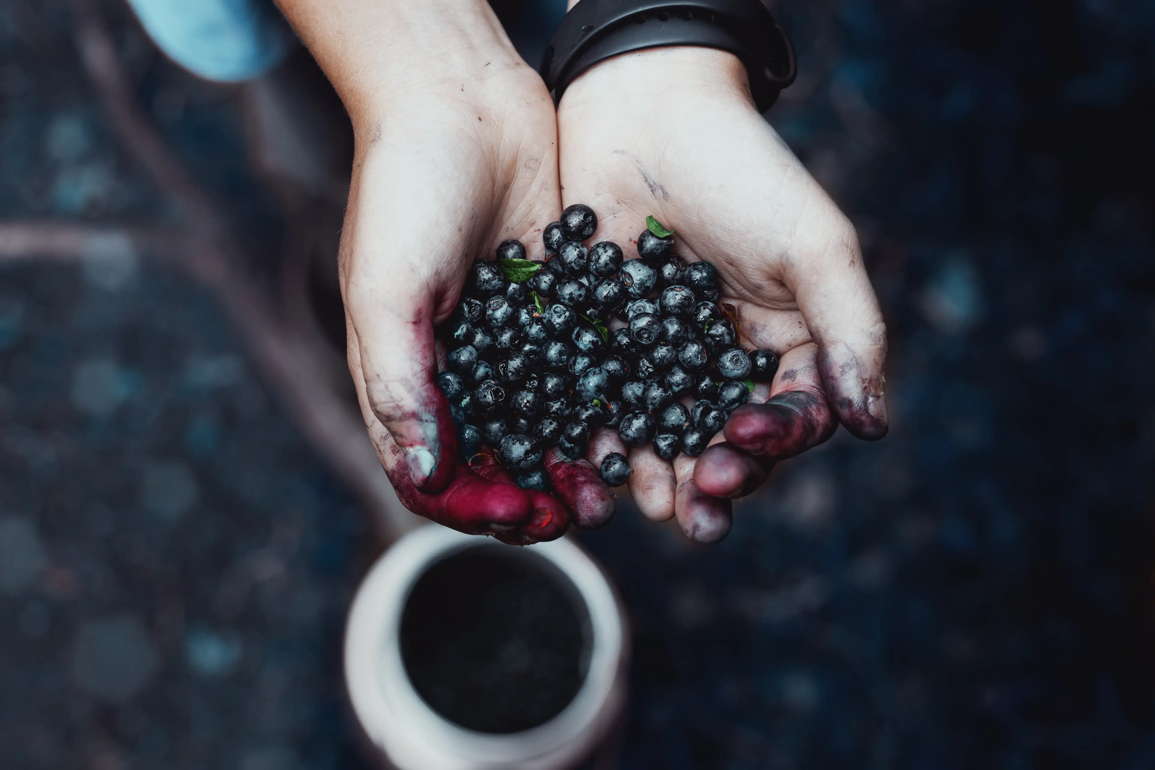 Hand mit Beeren