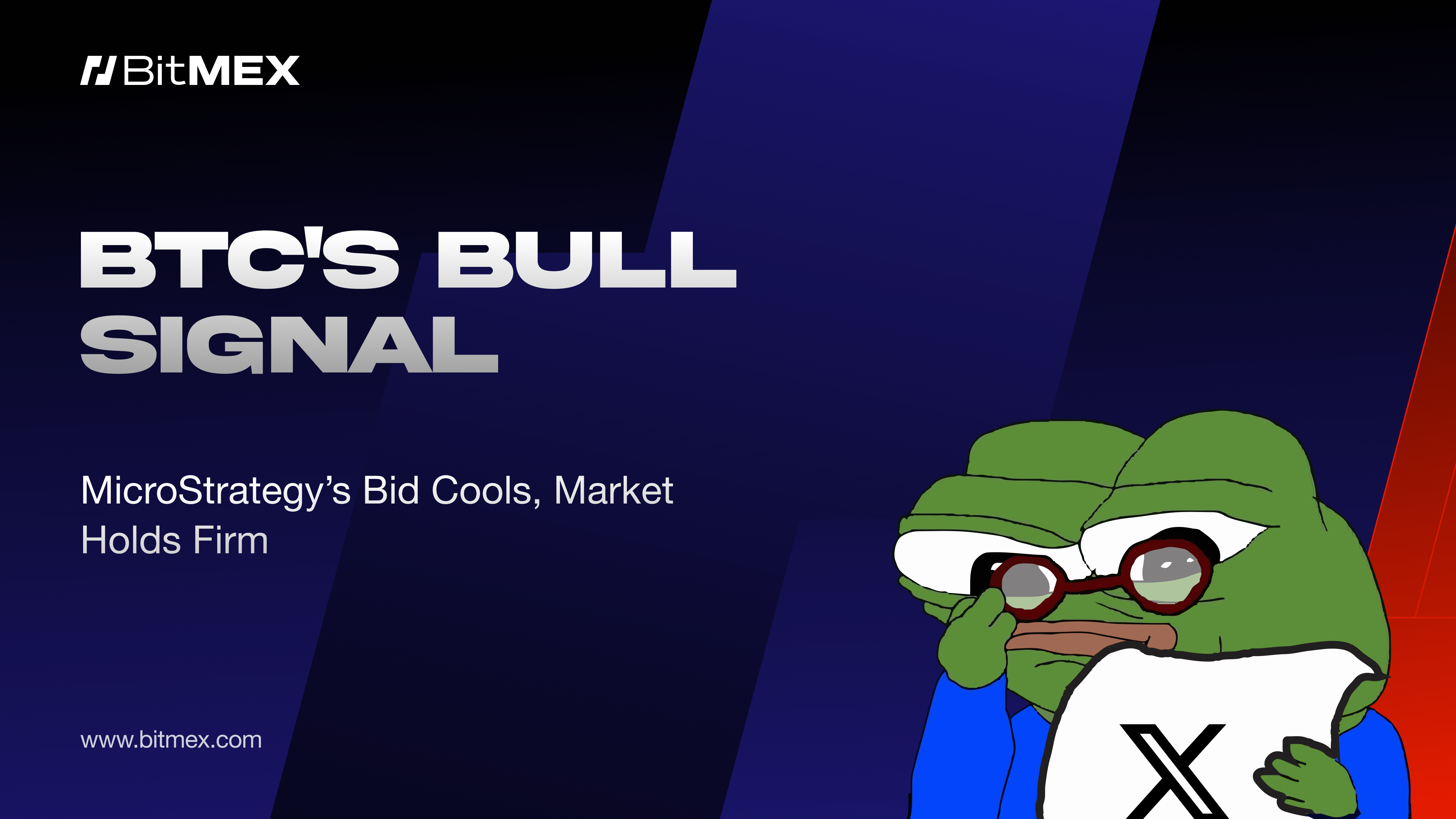 BTC's Bull Signal: MicroStrategy’s Bid Cools, Market Holds Firm