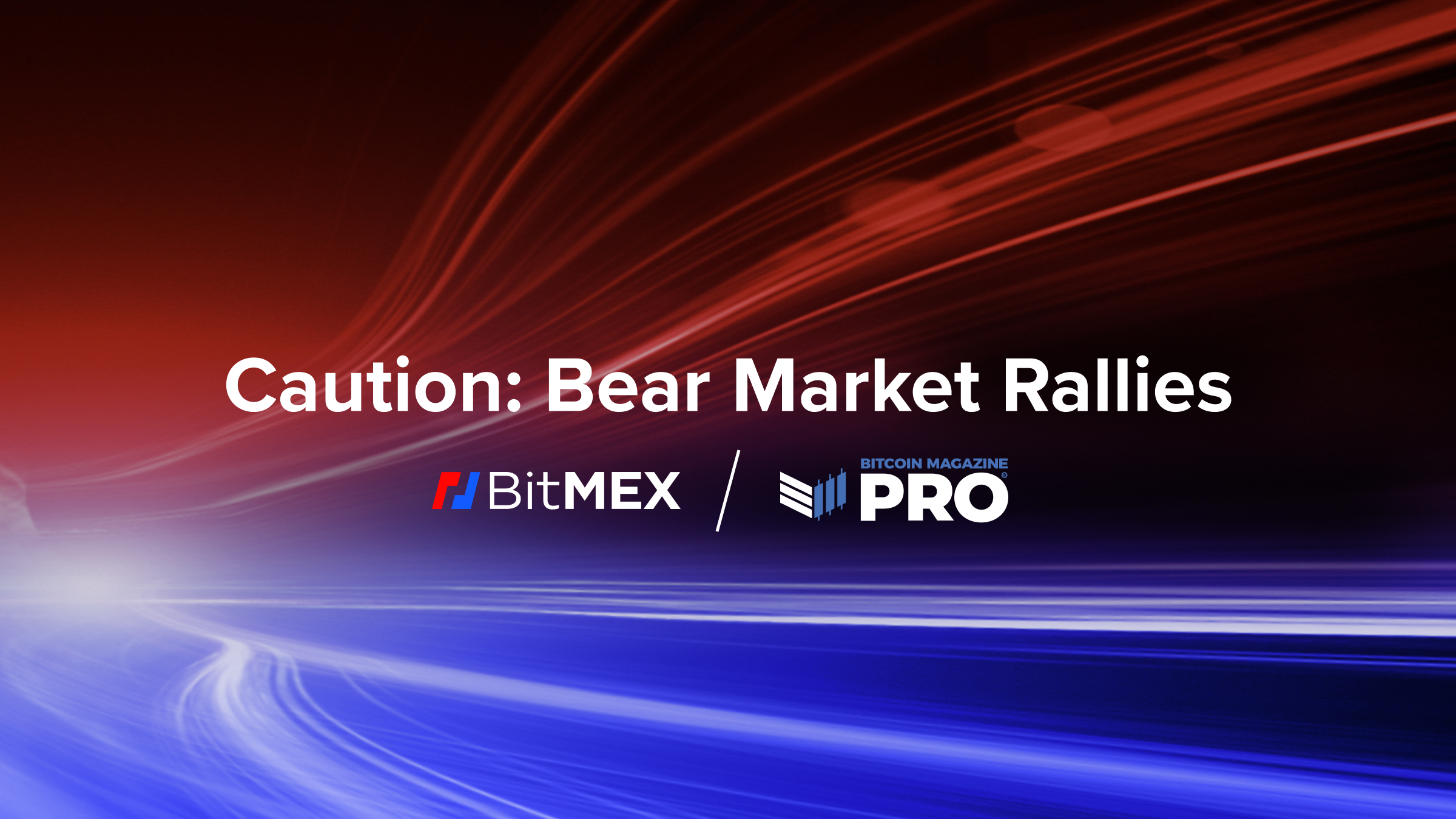 Caution: Bear Market Rallies - BitMEX Blog