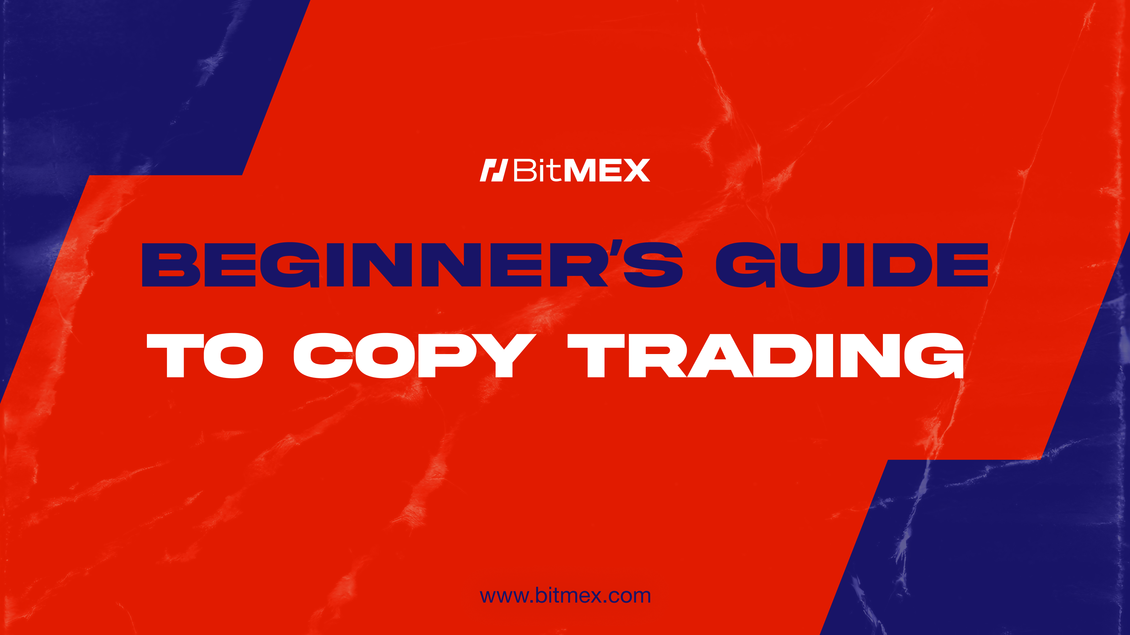 BitMEX Copy Trading: Replicate Elite Traders