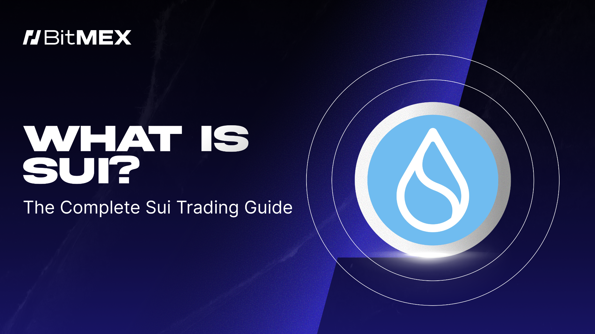 What Is SUI? A Complete Guide for 2026