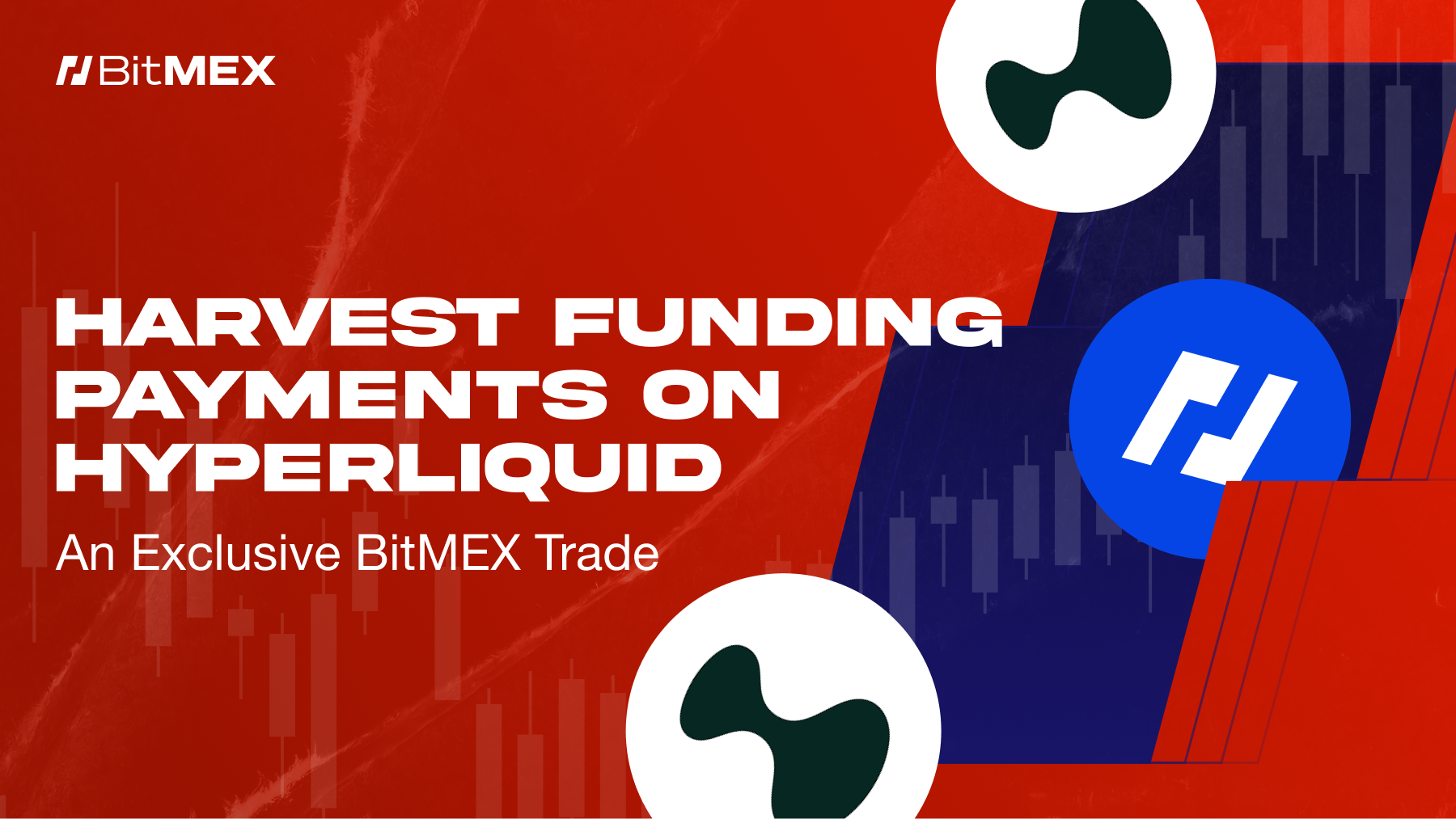 Harvest Funding Payments on Hyperliquid: An Exclusive BitMEX Trade - BitMEX  Blog