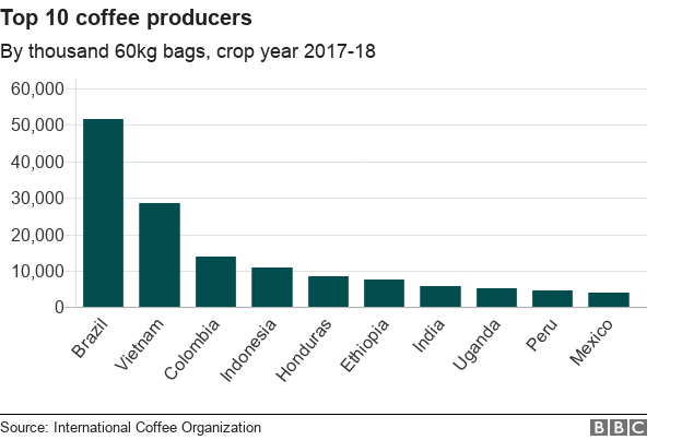 Najväčší producenti kávy svetovo