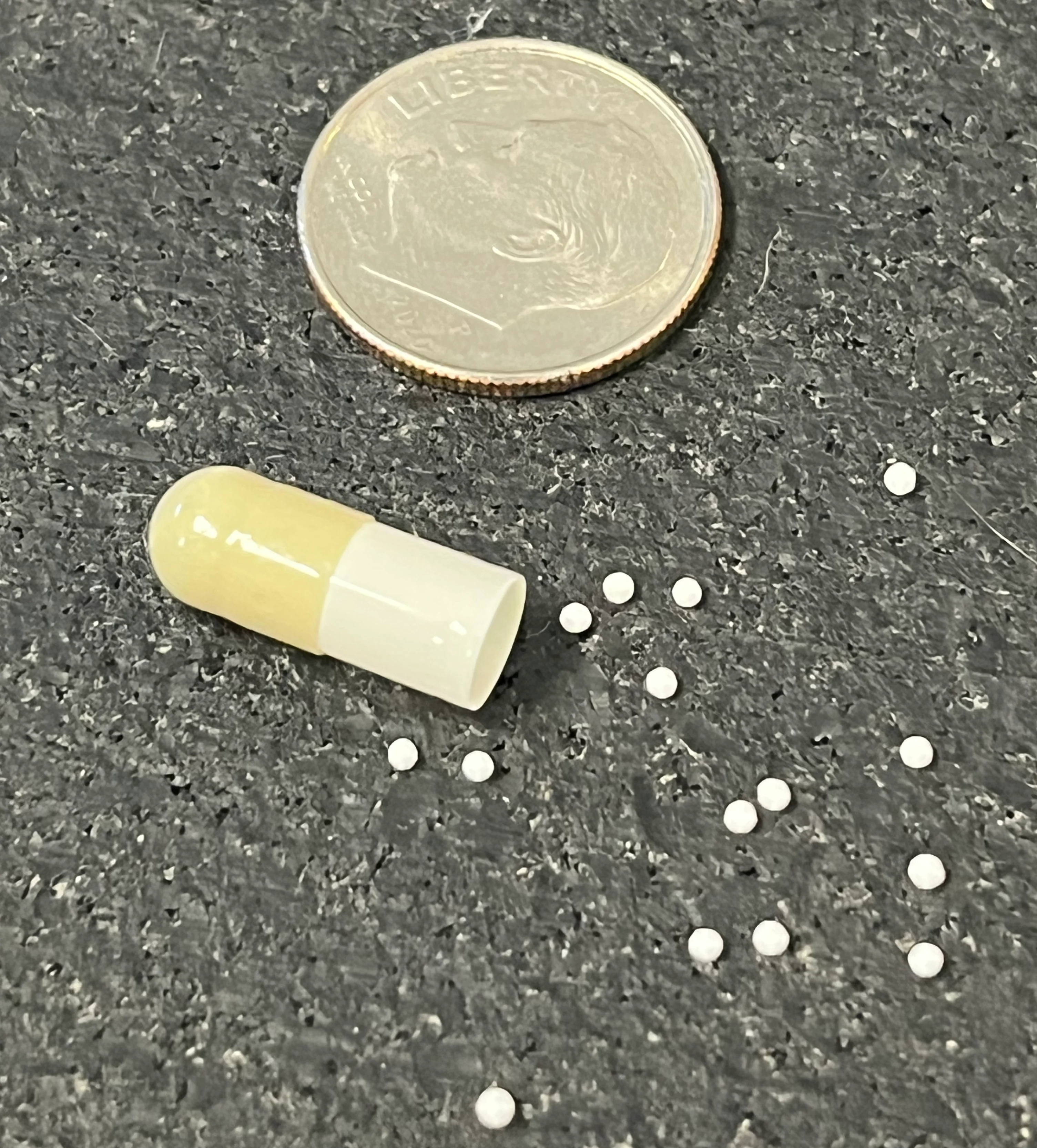 An open capsule containing venlafaxine granules compared to the size of an American dime.