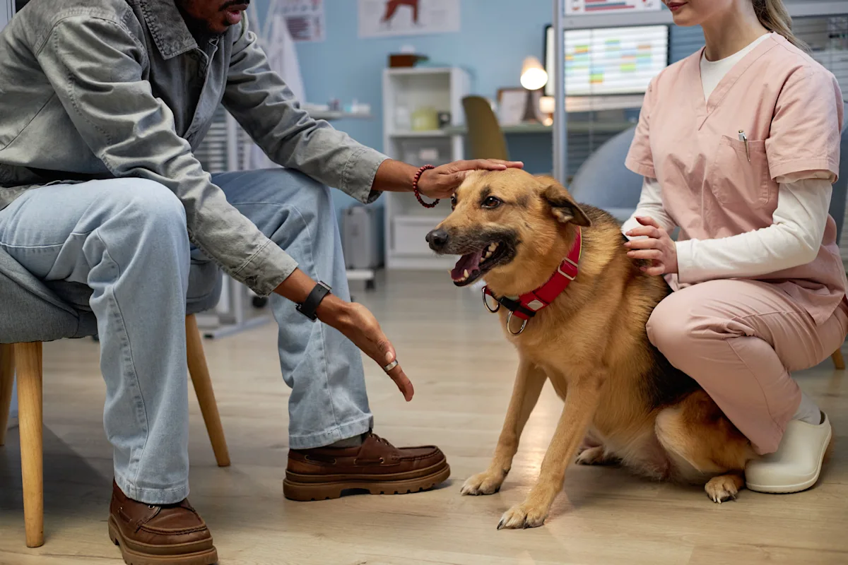 A veterinarian in scrubs gently pets a large dog sitting on the floor, while a client reaches out to interact with the dog. The setting is a veterinary clinic, with medical equipment and a calming environment visible in the background.