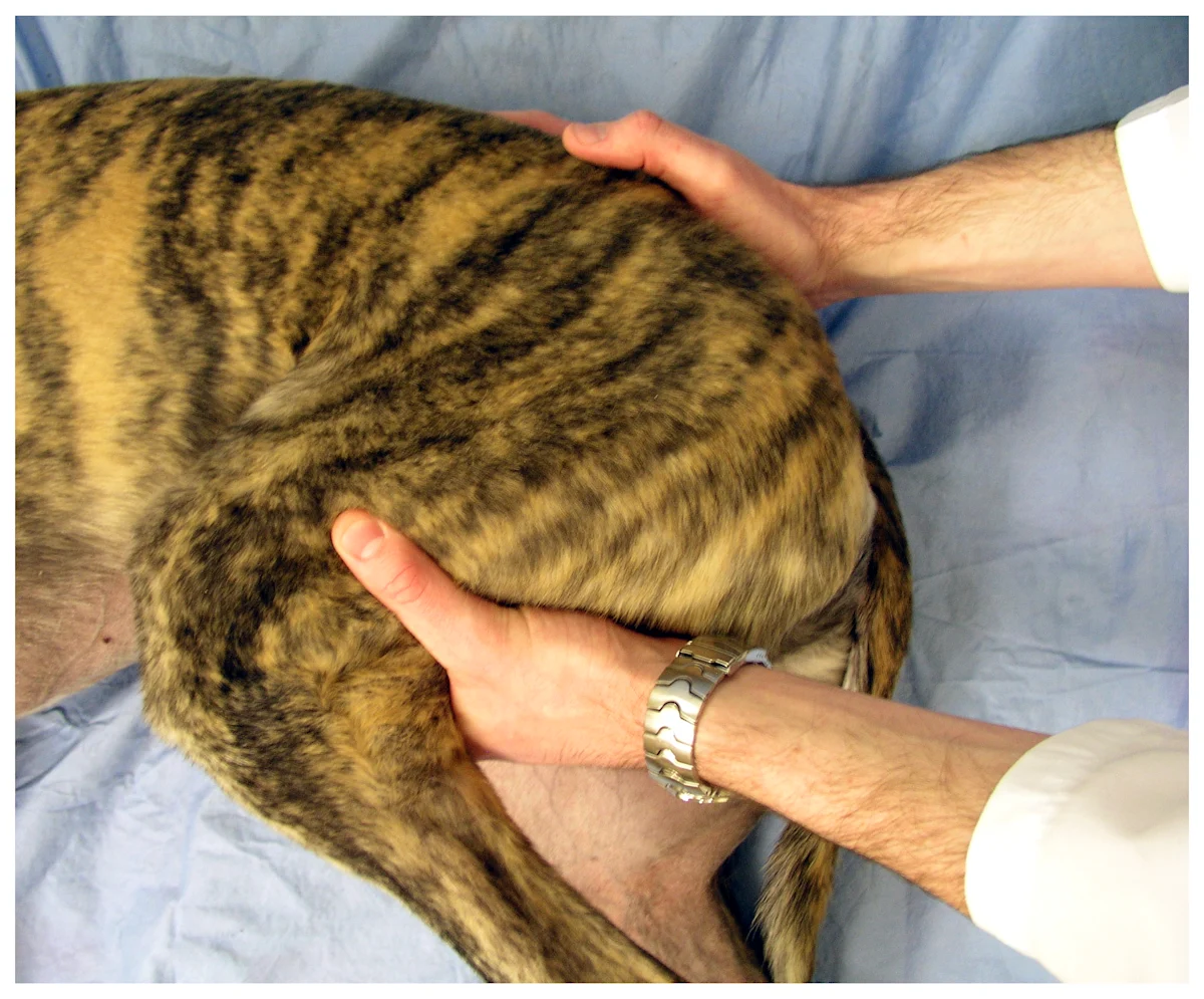 selected slide image