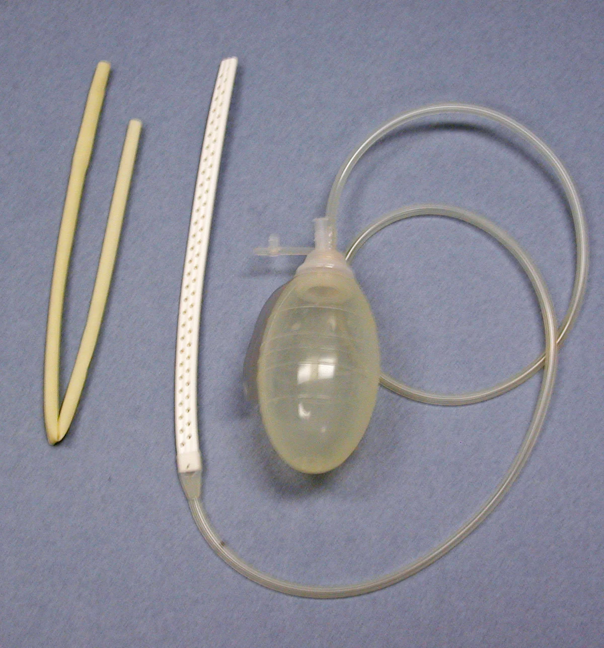 selected slide image