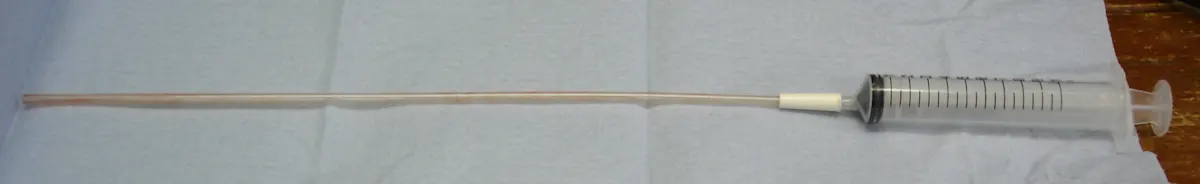 selected slide image