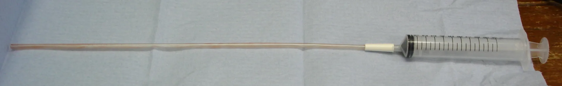 selected slide image