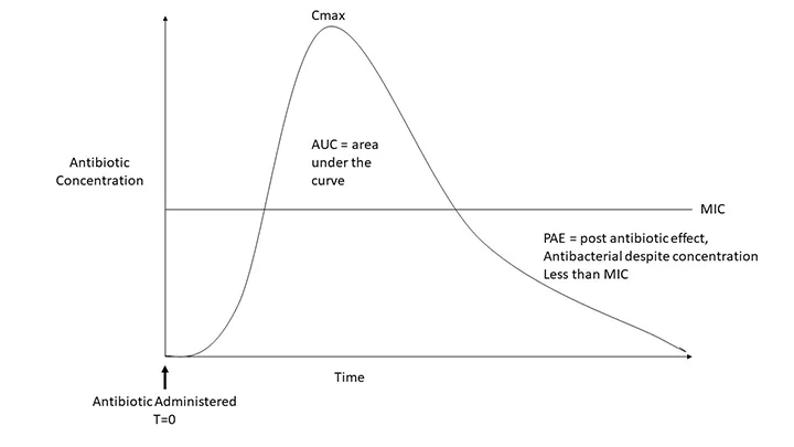 Graph showing antibiotic concentration over time in relation to MIC for concentration-dependent antibiotics.