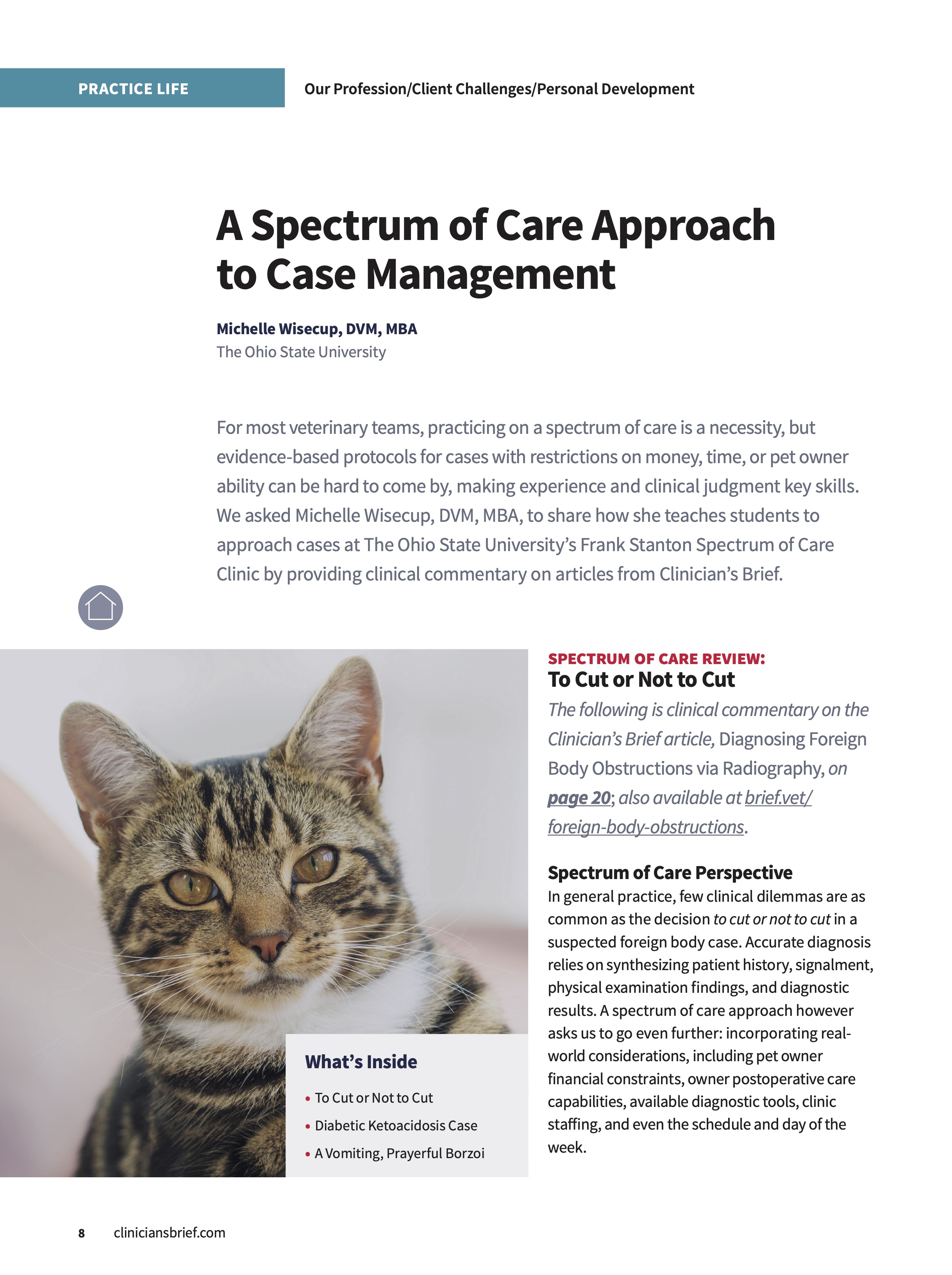 A Free E-Book For Modern Veterinarians