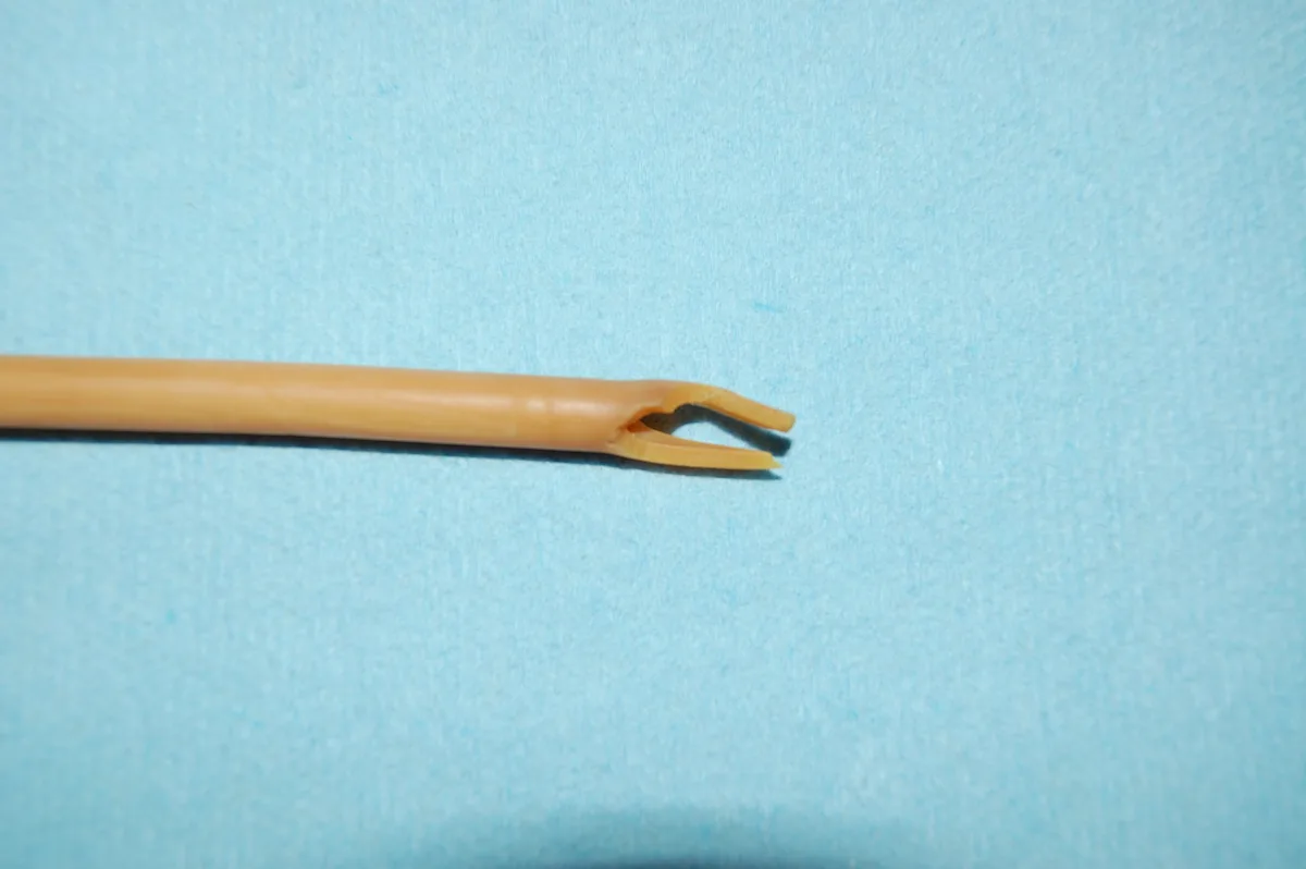 selected slide image