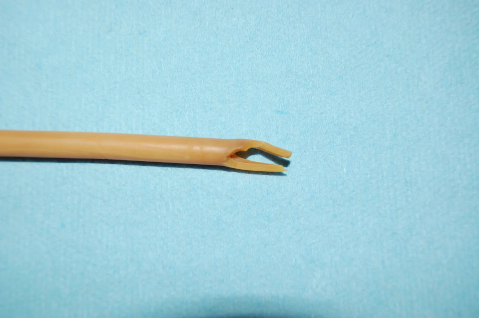 selected slide image