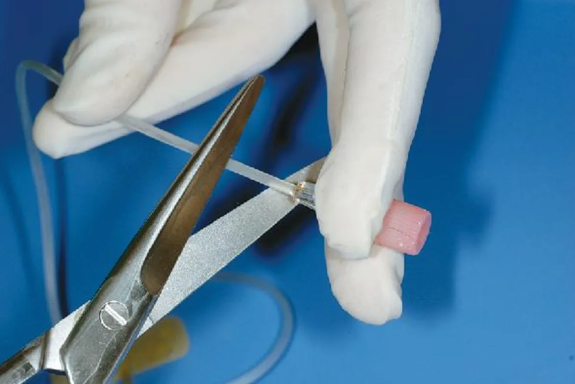 selected slide image