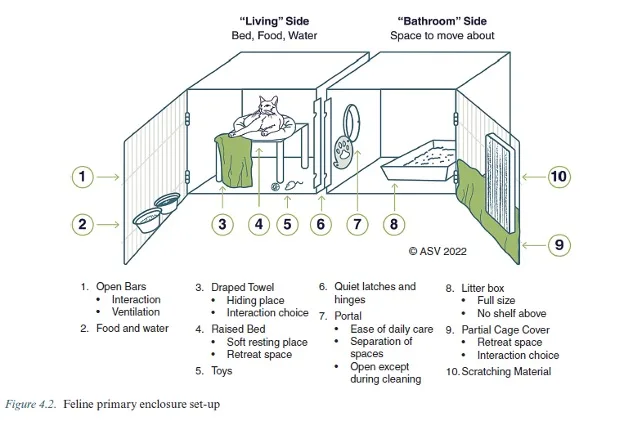 A schematic drawing of double-compartment housing for a cat.
