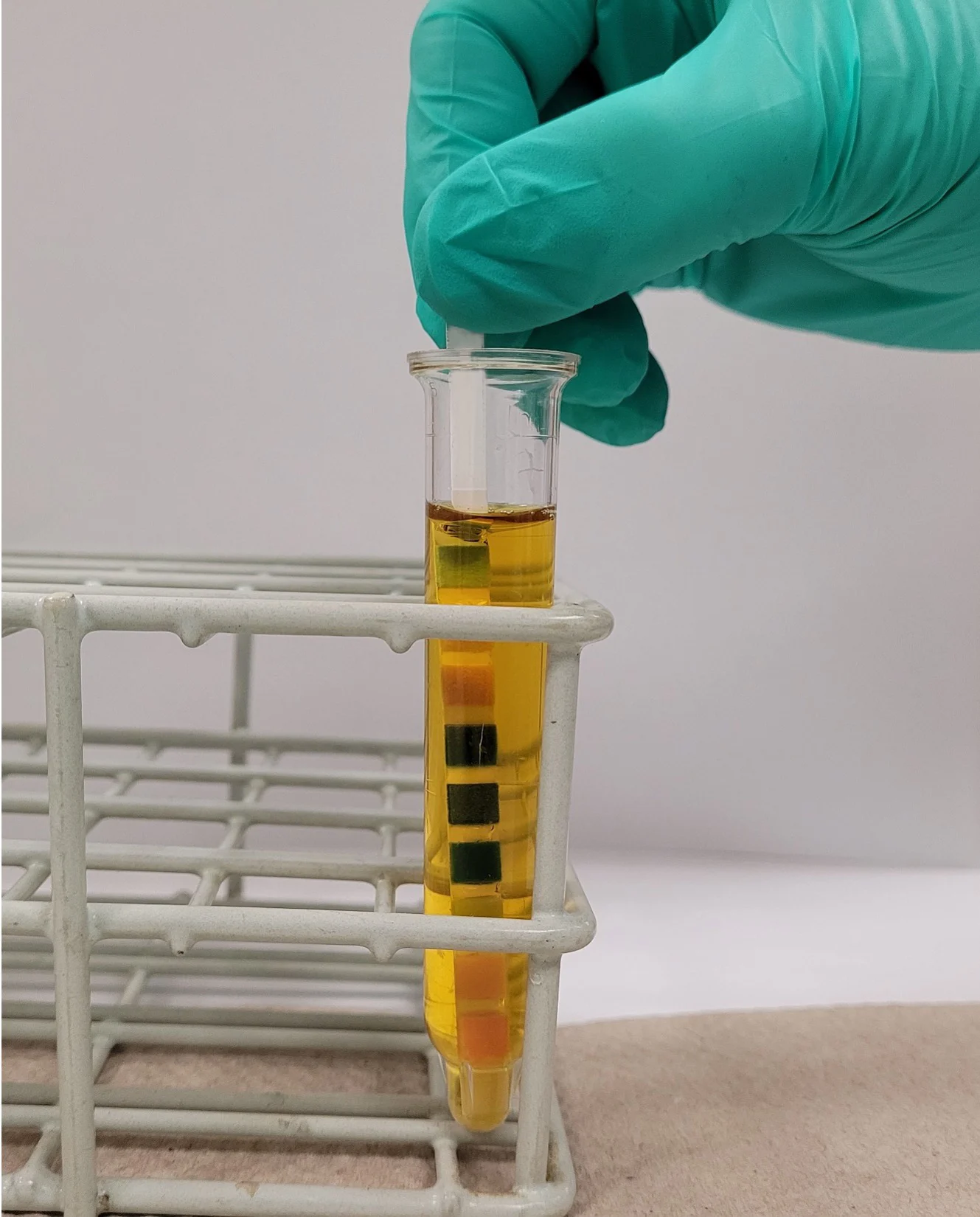 Gloved hand dipping urine dipstick into test tube of urine in a test tube rack.