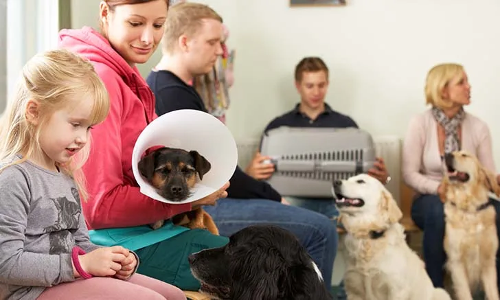 Antech Clinical Applications Ref LabOpening Image 2.jpg