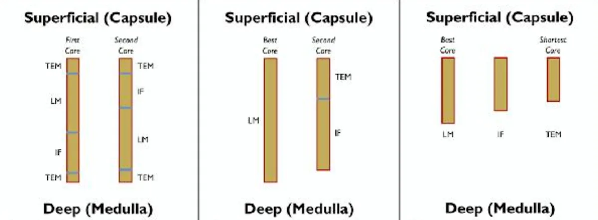 selected slide image