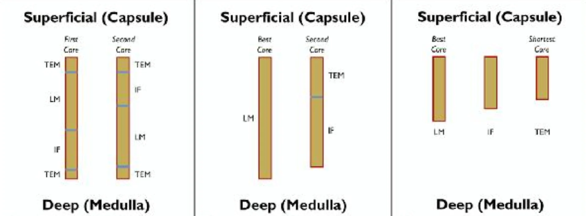 selected slide image