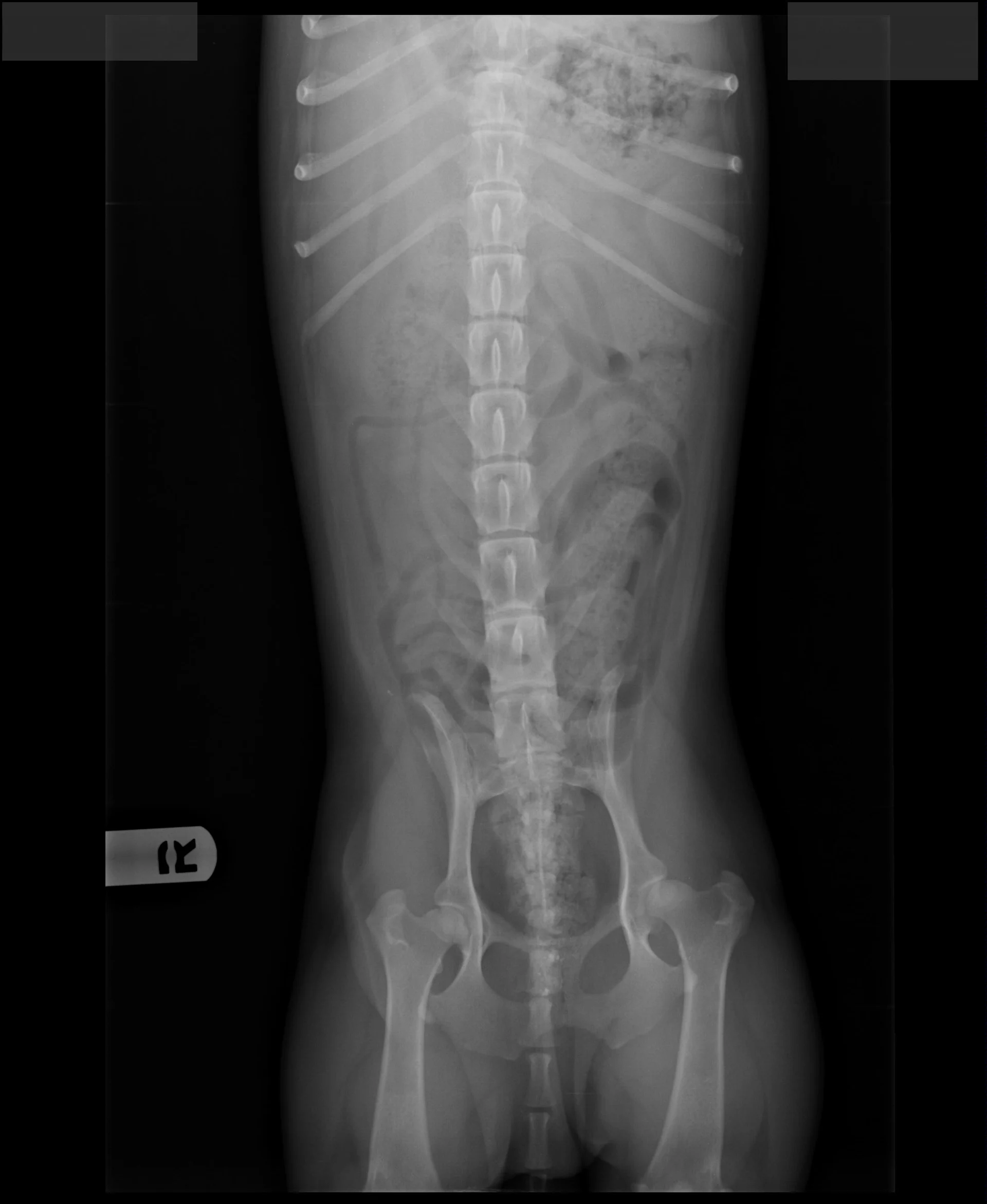 selected slide image