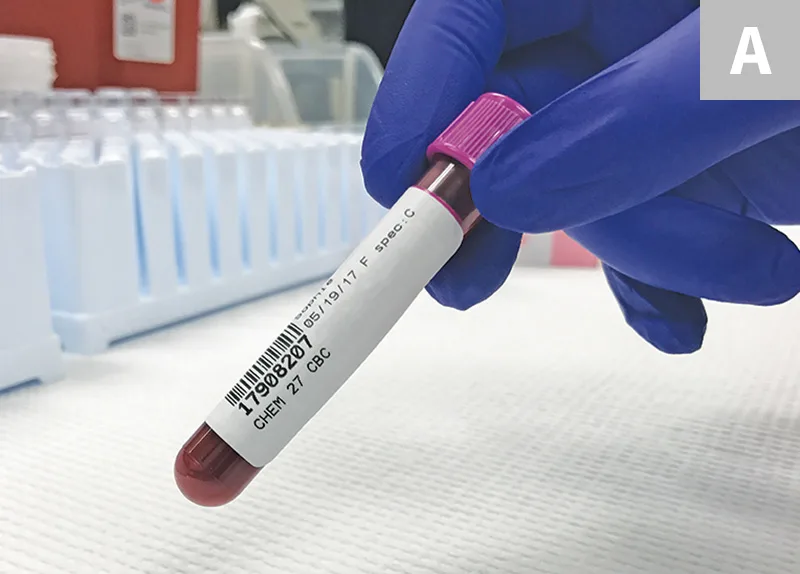 selected slide image