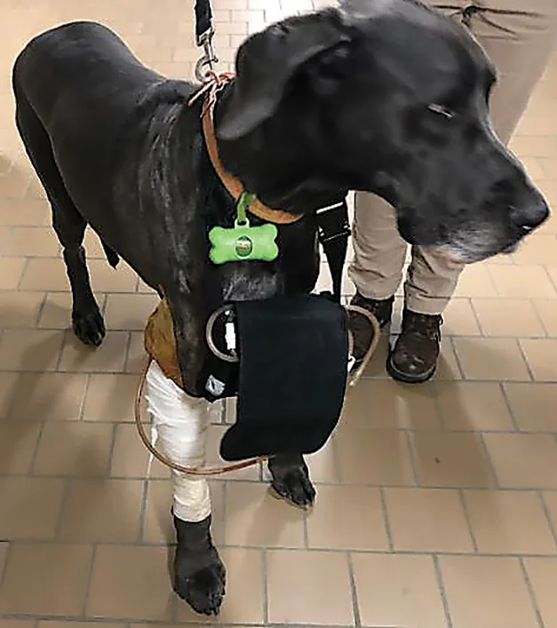 selected slide image