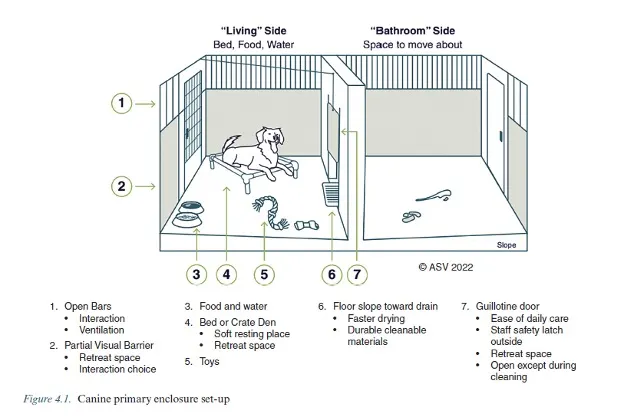A schematic drawing of double-compartment housing for a dog.