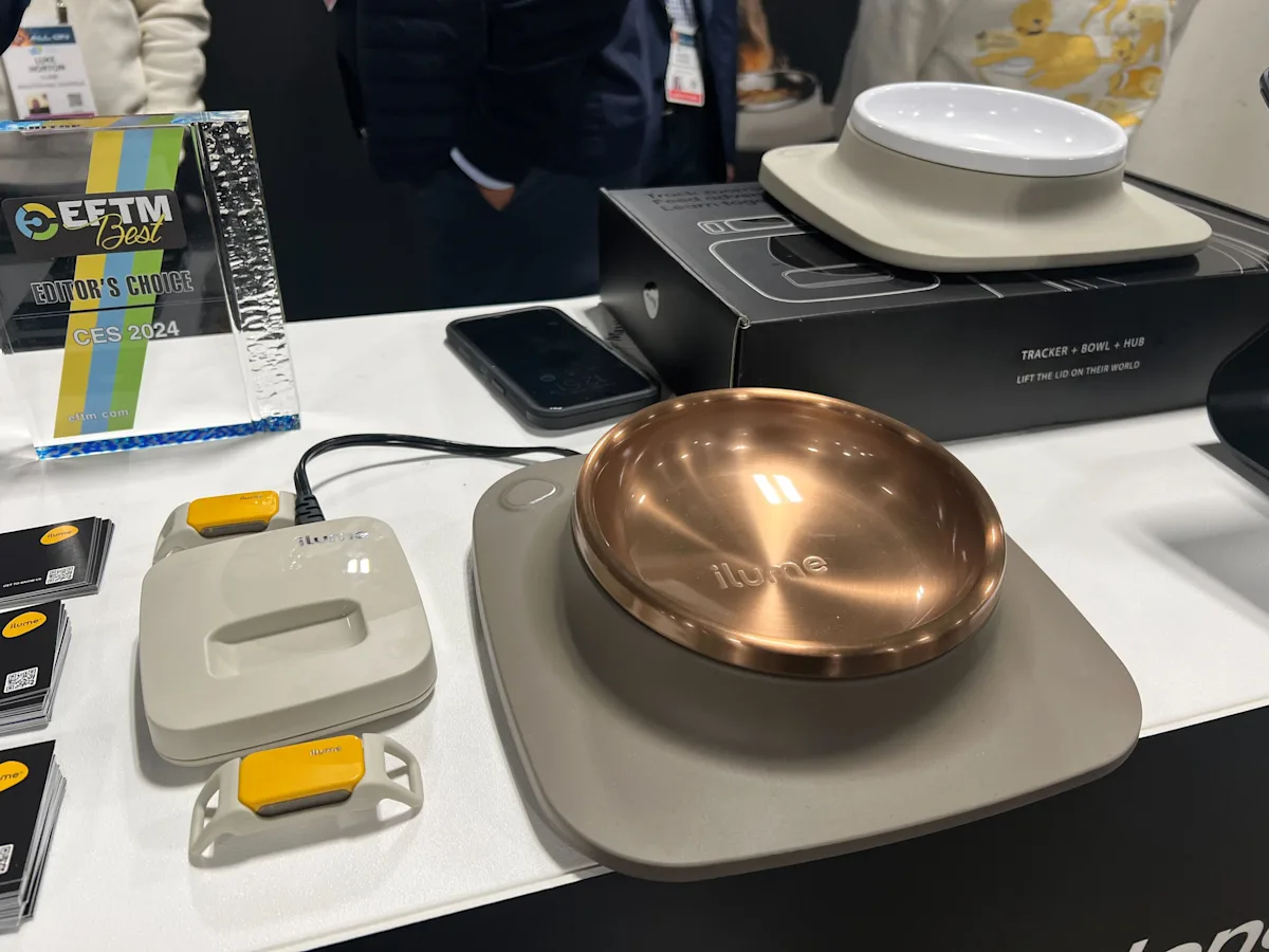 selected slide image