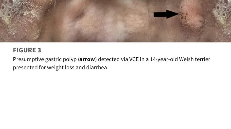 selected slide image