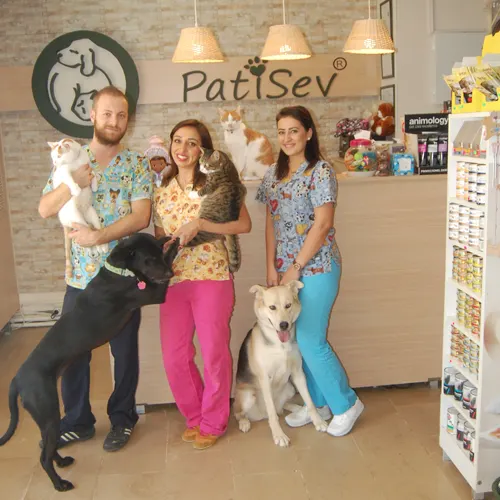 selected slide image