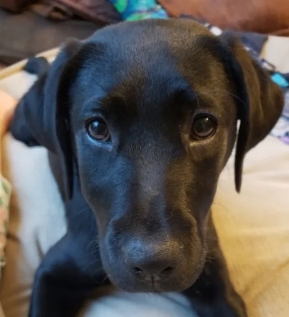 selected slide image