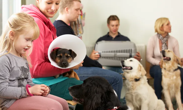 veterinary waiting room with several dogs and their owners