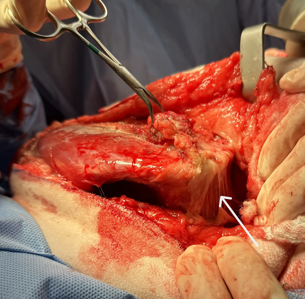 selected slide image