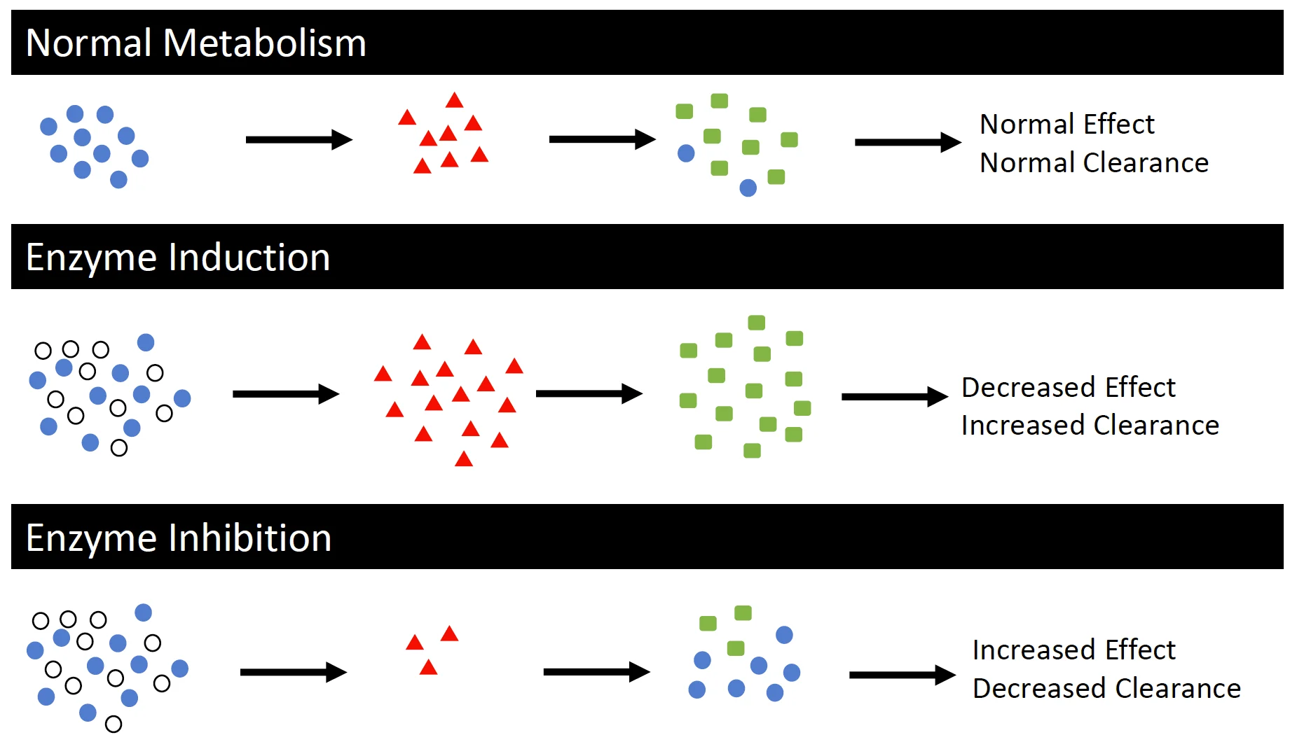 Diagram illustrating normal drug metabolism as compared to drug metabolism in the presence of a CYP450 inducer or inhibitor.