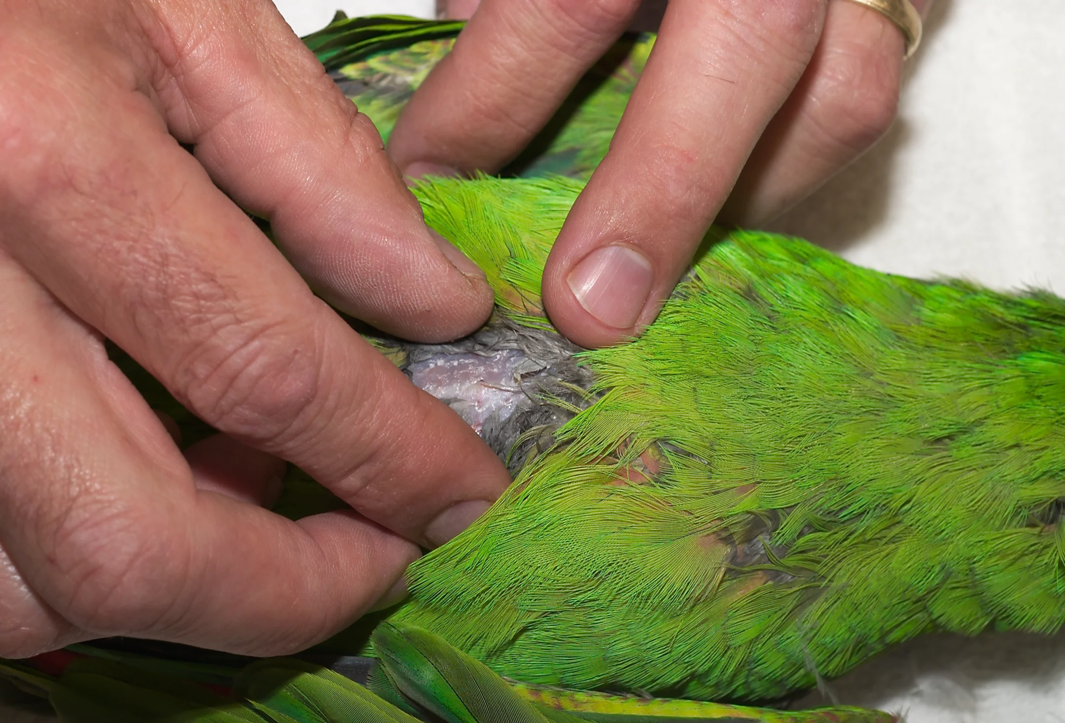 Featured Image