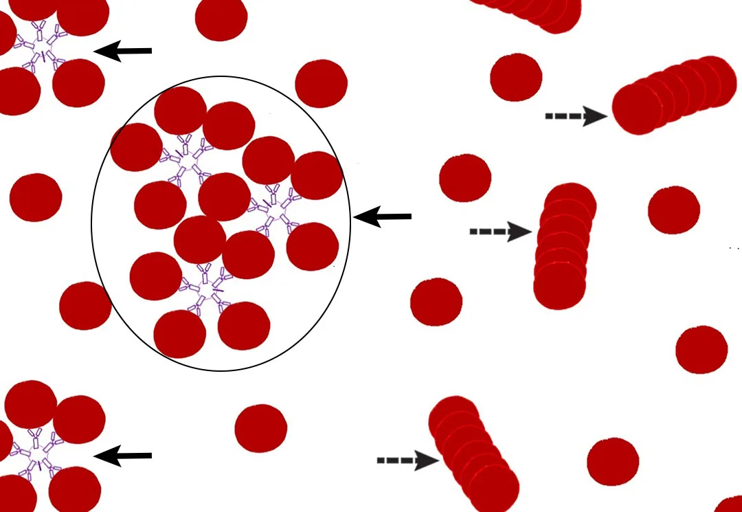 selected slide image