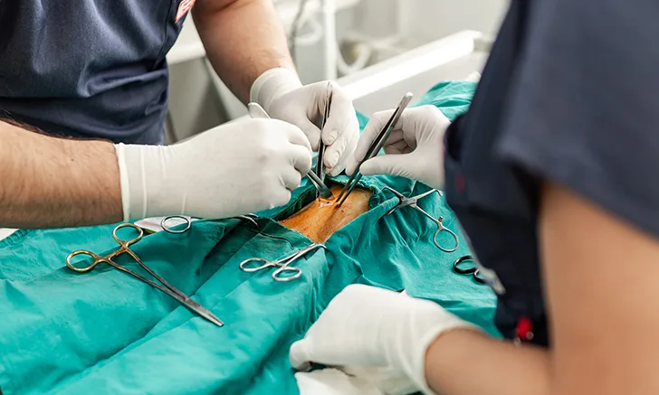 Two veterinarians performing surgery