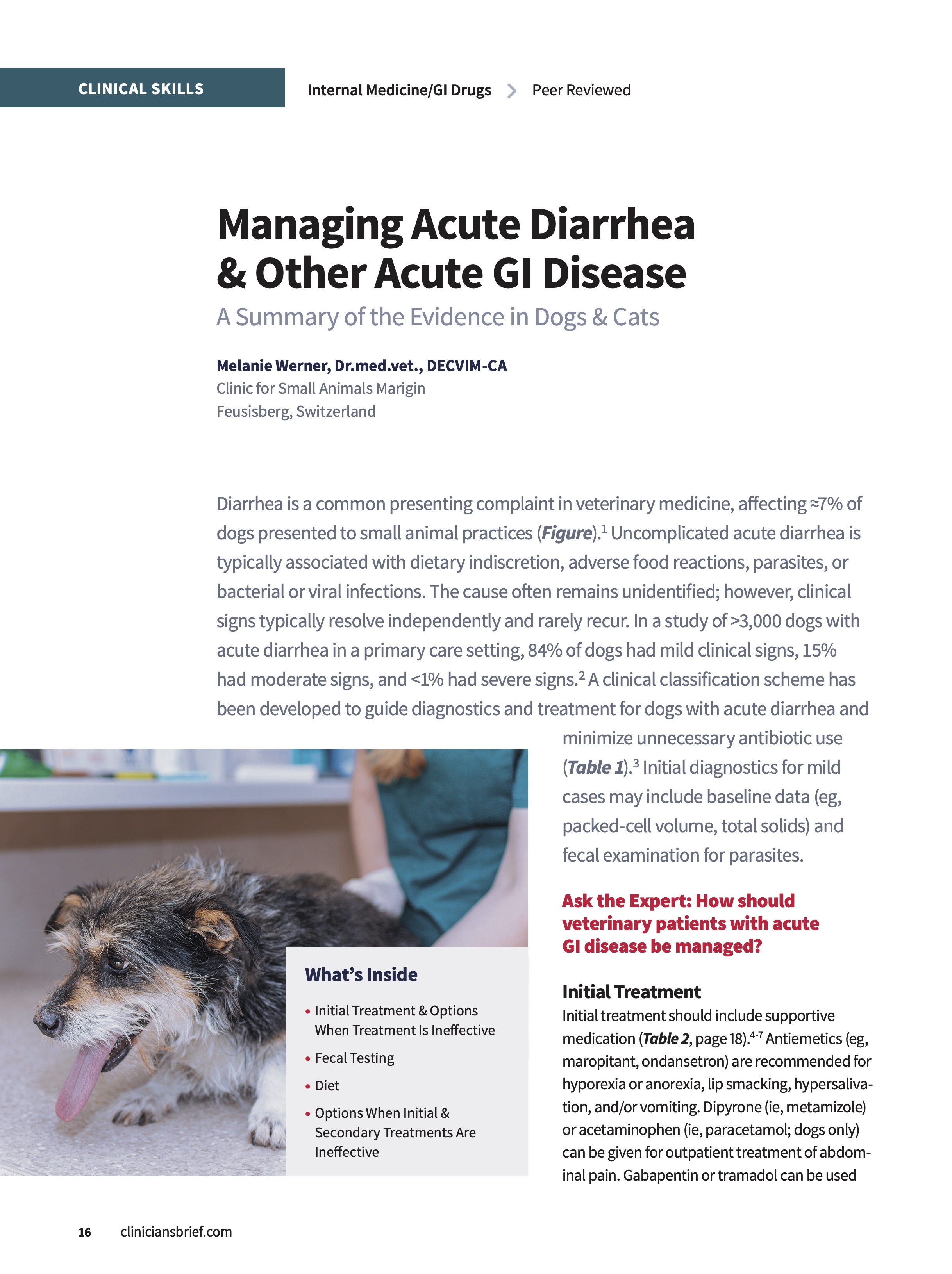 Free e-Book: 10 Essential Veterinary Articles From 2025