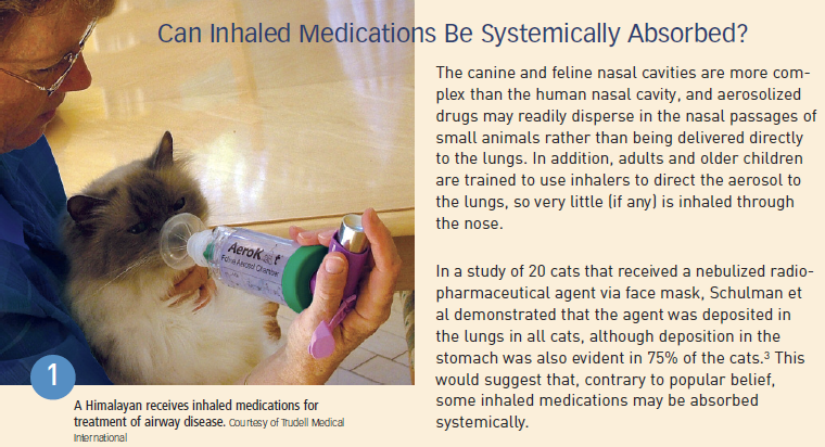 Corticosteroids for hot sale cats