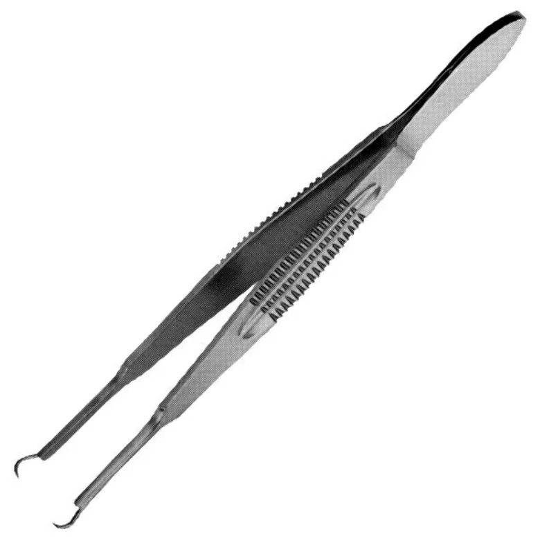 selected slide image