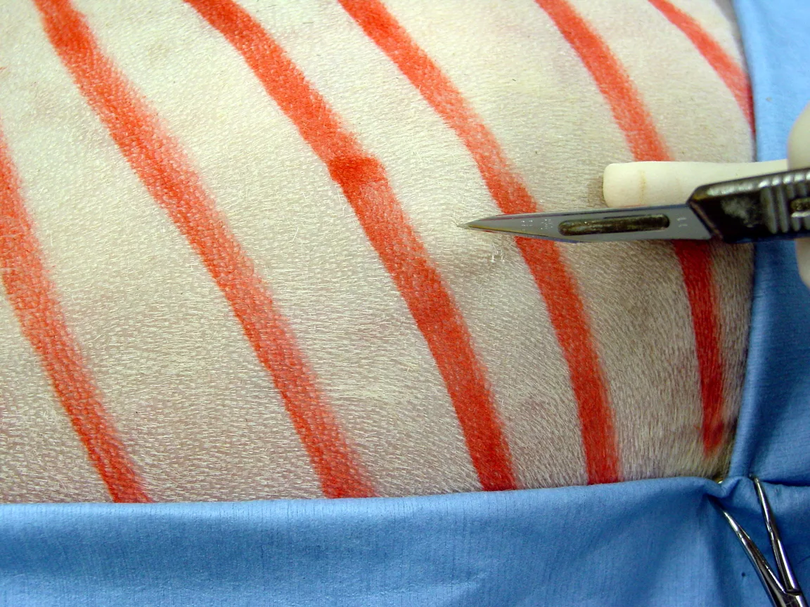 selected slide image